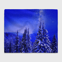 Плед флисовый Зимний лес, цвет: 3D-велсофт