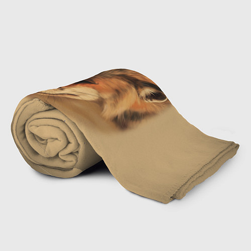 Плед Лисички / 3D-Велсофт – фото 2