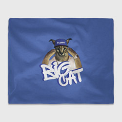 Плед флисовый Big Cat Floppa, цвет: 3D-велсофт