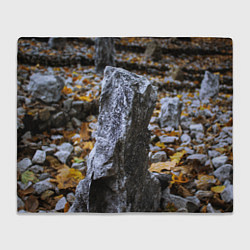 Плед флисовый Осенняя лень, цвет: 3D-велсофт