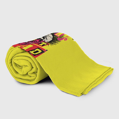 Плед Punks Not Dead - Панки Хой! / 3D-Велсофт – фото 2