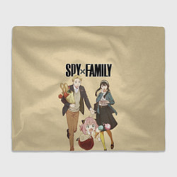 Плед флисовый Spy x Family: Семья шпиона, цвет: 3D-велсофт