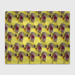 Плед флисовый Попугай Корелла Орёт Мем, цвет: 3D-велсофт