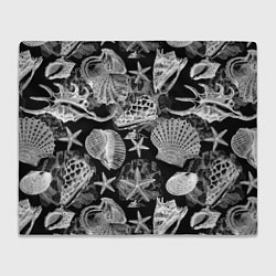 Плед флисовый Композиция из ракушек, кораллов и морских звёзд, цвет: 3D-велсофт