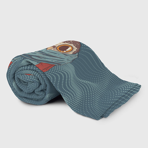 Плед Милая совушка в шарфе / 3D-Велсофт – фото 2