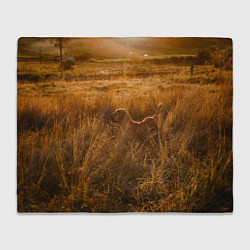 Плед Поле с колосьями и собачка