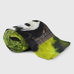 Плед флисовый Влюблённые панды, цвет: 3D-велсофт — фото 2