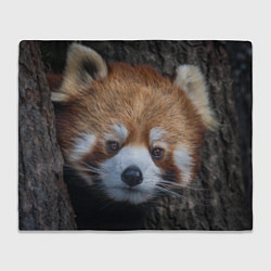 Плед флисовый Крaсная панда, цвет: 3D-велсофт