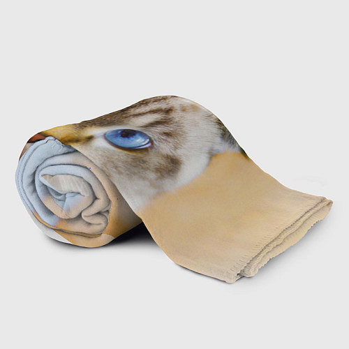 Плед Кошка породы шотландская вислоухая косоглазая / 3D-Велсофт – фото 2