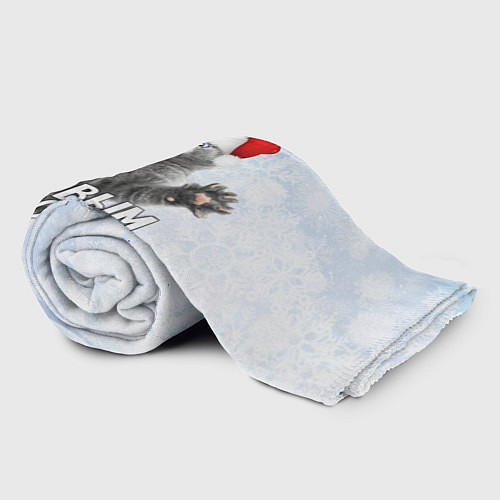 Плед С Новым годом - котик / 3D-Велсофт – фото 2