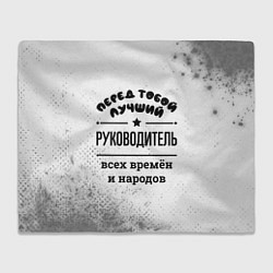 Плед флисовый Лучший руководитель - всех времён и народов, цвет: 3D-велсофт