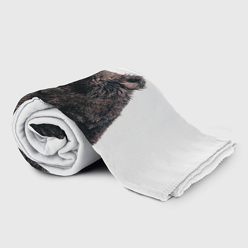 Плед Медведь в профиль / 3D-Велсофт – фото 2