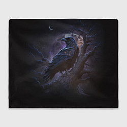 Плед флисовый Ворон во мраке, цвет: 3D-велсофт
