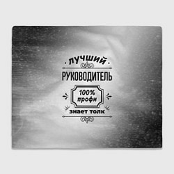 Плед флисовый Лучший руководитель - 100% профи на светлом фоне, цвет: 3D-велсофт