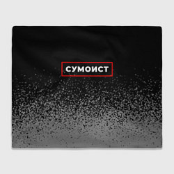 Плед флисовый Сумоист - в рамке красного цвета, цвет: 3D-велсофт