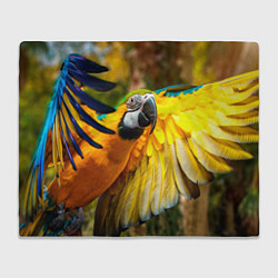 Плед флисовый Взлёт попугая, цвет: 3D-велсофт