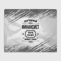 Плед флисовый Лучший финансист: 100% профи, знает толк, цвет: 3D-велсофт