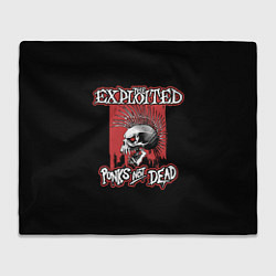 Плед флисовый Exploited - punks not dead, цвет: 3D-велсофт