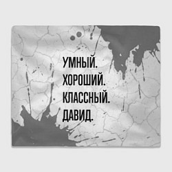 Плед флисовый Умный, хороший и классный: Давид, цвет: 3D-велсофт