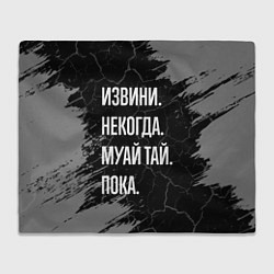 Плед Извини некогда муай тай, пока