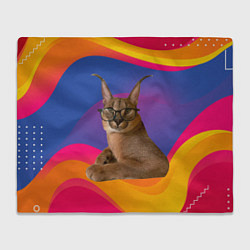 Плед флисовый Мем кот Шлепа, цвет: 3D-велсофт