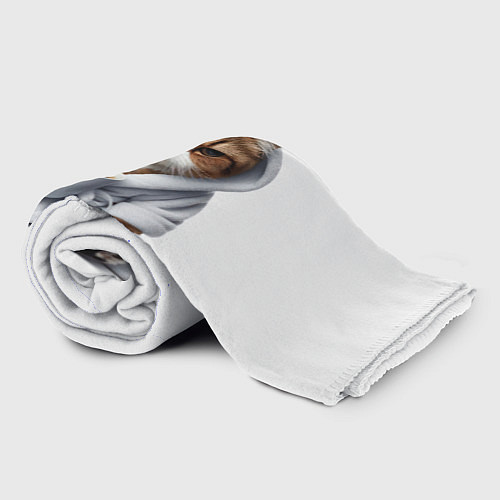 Плед Котик в халате и кофе / 3D-Велсофт – фото 2