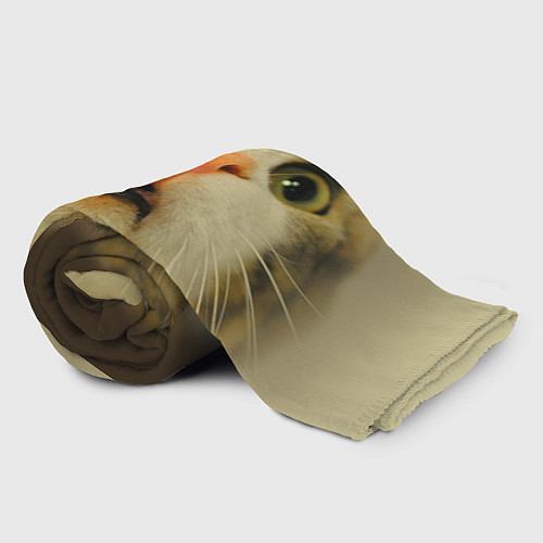 Плед Удивленный кот - мем крупным планом / 3D-Велсофт – фото 2