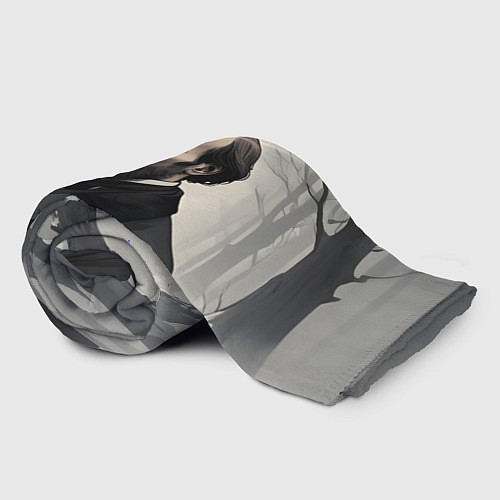 Плед Достоевский зимняя аллея / 3D-Велсофт – фото 2