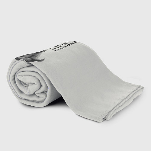 Плед Ленивец: любить нужно себя вчера сегодня завтра / 3D-Велсофт – фото 2