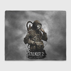 Плед флисовый S t a l k e r 2 Heart of Chornobyl, цвет: 3D-велсофт
