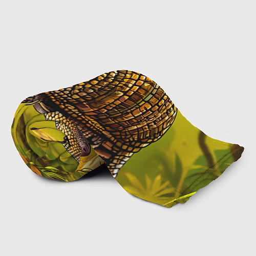 Плед Огромный броненосец / 3D-Велсофт – фото 2