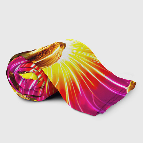 Плед Верблюд в ярких лучах / 3D-Велсофт – фото 2