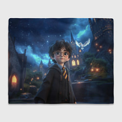 Плед флисовый Гарри Поттер в галстуке, цвет: 3D-велсофт