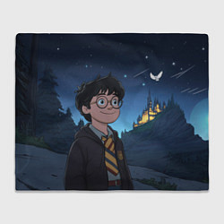 Плед флисовый Довольный Гарри Поттер, цвет: 3D-велсофт