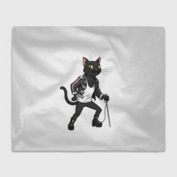 Плед флисовый Кот - Фредди Меркьюри, цвет: 3D-велсофт