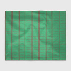 Плед Color green cage brown stripes