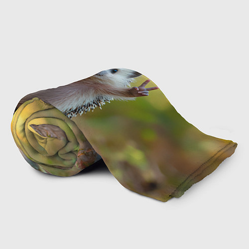 Плед Милый ежик позирует / 3D-Велсофт – фото 2