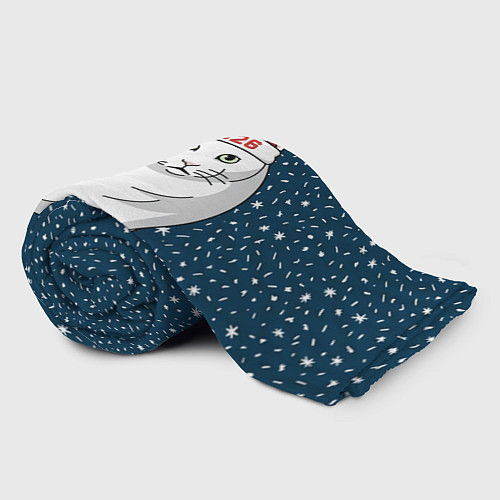 Плед Кот мем - 2026 / 3D-Велсофт – фото 2