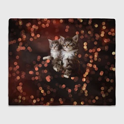 Плед флисовый Котята, цвет: 3D-велсофт
