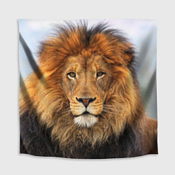 Скатерть для стола Красавец лев, цвет: 3D-принт