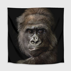 Скатерть для стола Глаза гориллы, цвет: 3D-принт