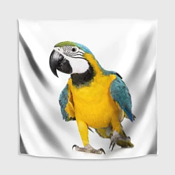 Скатерть для стола Попугай ара, цвет: 3D-принт