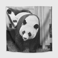 Скатерть для стола Большая панда, цвет: 3D-принт
