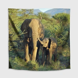 Скатерть для стола Семья слонов в природе, цвет: 3D-принт