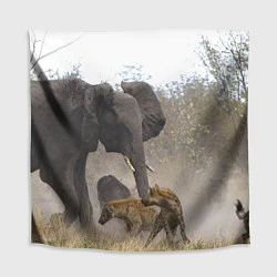 Скатерть для стола Гиены охотятся на слона, цвет: 3D-принт