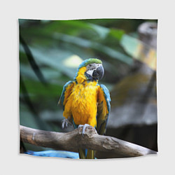 Скатерть для стола Красавец попугай, цвет: 3D-принт