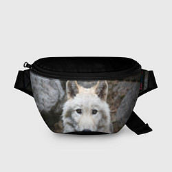 Поясная сумка Волк
