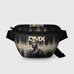 Поясная сумка DMX