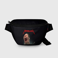 Поясная сумка James Alan Hetfield METALLICA Z, цвет: 3D-принт