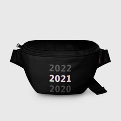 Поясная сумка 2020 2021 2022